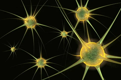 Animation with virus shapes Video stock 576718