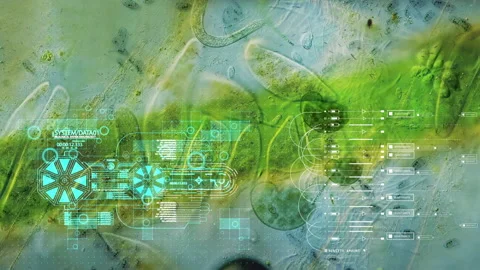 Animation - Viruses under microscope. Bacteria virus Stock Footage 171396693