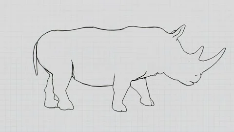 Animation of a walking rhino on a notebook background. Stock Footage 144323661