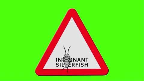 Animation warning sign  -  Indignant silverfish Stock Footage 141316602