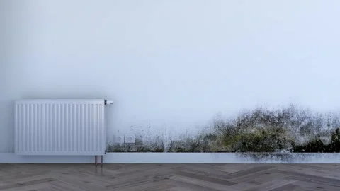 Animation of water damage on a wall Stock Footage 274727973