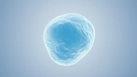 Animation of water in the liquid state. Stock Footage 127604495