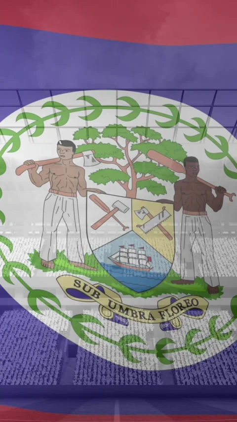 Animation of waving flag of belize over sport stadium Stock Footage 342676103