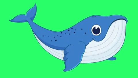 Animation whale isolate on green screen. | Stock Video | Pond5
