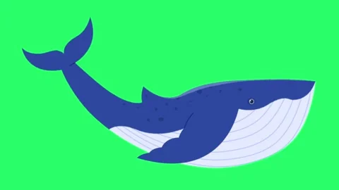 Animation whale isolate on green screen. Stockbeeldmateriaal 246261083
