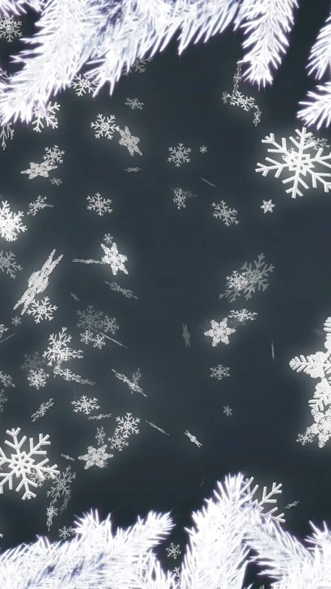 Animation of white fir tree branches on black background Stockbeeldmateriaal 343609877