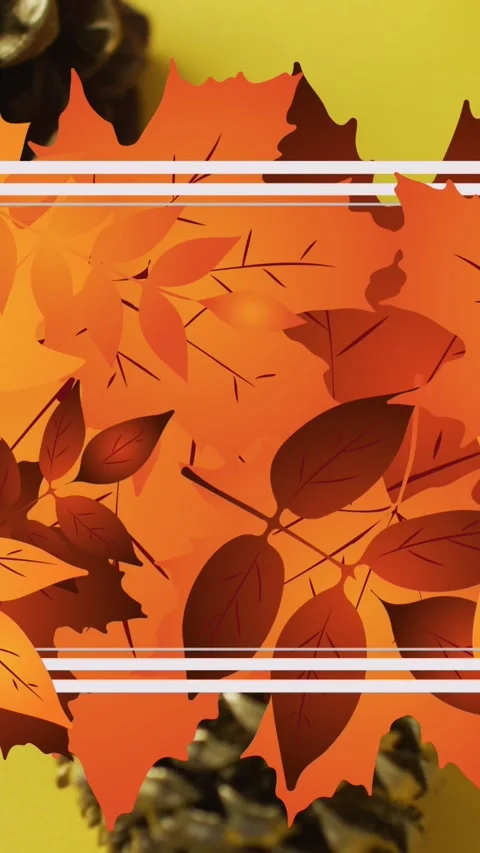 Animation of white frame and autumn leaves over pine cones on yellow background Stock Footage 343641312