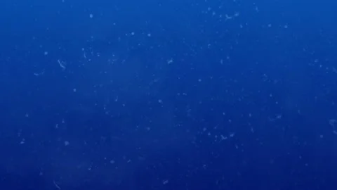 Animation of white moving spots on blue ... | Stock Video | Pond5