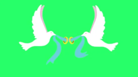 Animation white pigeon shape on green background.  Stock Footage 171552780
