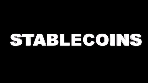 Animation of white text stablecoin on black screen. Stock Footage 313676540