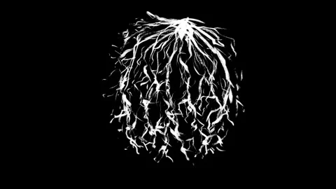 Animation of a white tumbleweed rolling to the side on a black screen. Desert Stock Footage 292760134