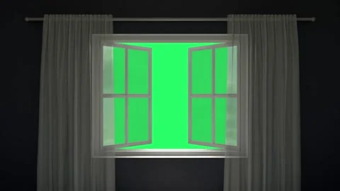 Animation window open with green screen. Stock Footage 240458162