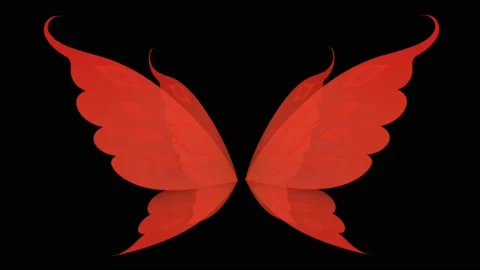 Animation wing fantasy style isolate on black background. Stock Footage 174581530