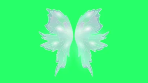 Animation wing fantasy style isolate on ... | Stock Video | Pond5