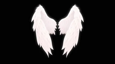 Animation wings isolate on black backgro... | Stock Video | Pond5