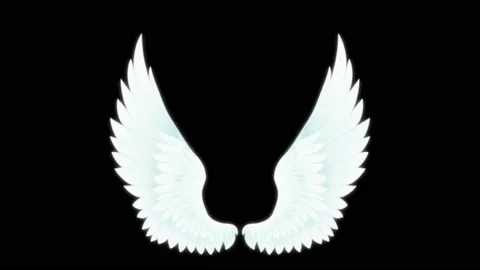 Animation wings isolate on black background. Video stock 169143134