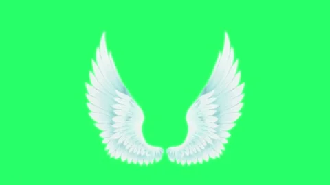 Animation wings isolate on green background. Stock Footage 169142153