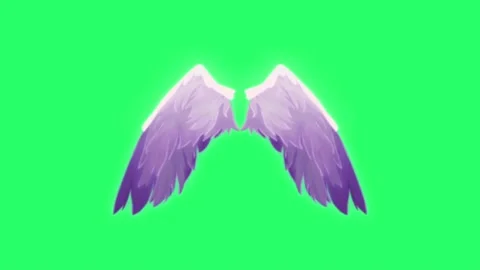 Animation wings isolate on green background. Stock Footage 169142250