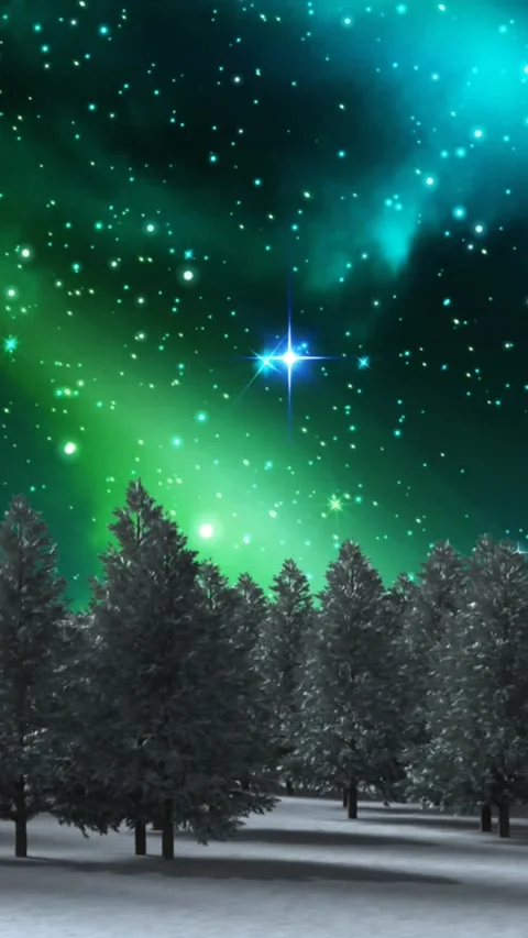 Animation of winter landscape with trees, moon and sky at christmas Stock Footage 342136728