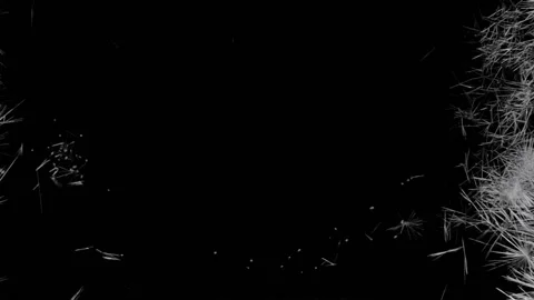 Animation winter pattern on a black background HD Stock Footage 97933411