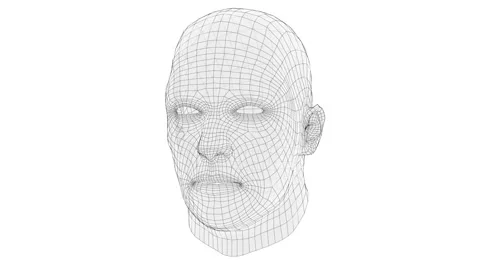 Animation of wire frame mans head Stock Footage 138435661