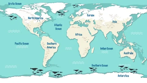 Animation of world map with continents and oceans, showing whale migration .. Stock Footage 332723765