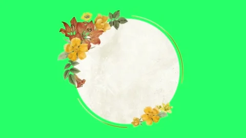 Animation yellow flowers circle frame with green background. Stock Footage 219195328