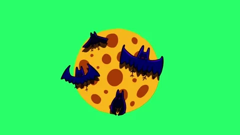 Animation yellow moon with black bats flying on green background. Stock Footage 246835986