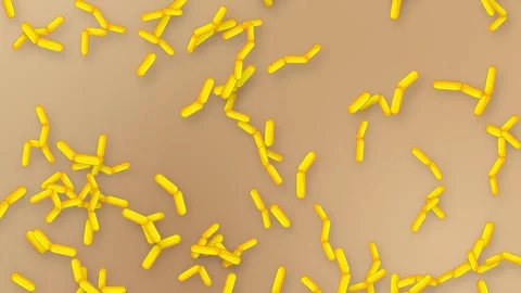 Animation of Yellow Rod Shaped Bacteria Falling Over Mesh Background Stock Footage 341908095