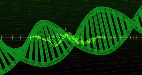 Animation of zigzag lines over string of data processing on black background Stock Footage 328648089