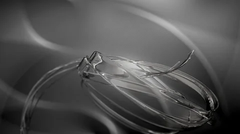 AnimationLines Stock Footage 30950678