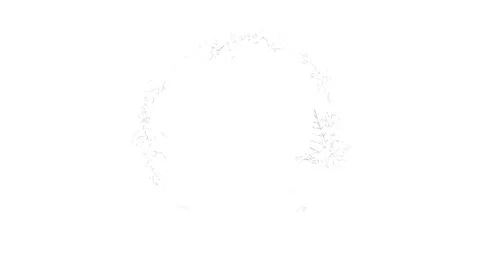 Animations graphics. Summer dried flowers painted Stock Footage 129661983