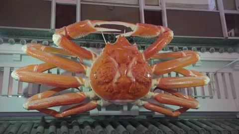 Animatronic crab Stock Footage 231440200