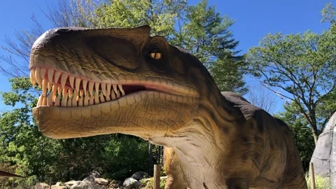 Animatronic Dinosaur Stock Footage 194671975