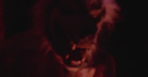 Animatronic Werewolf Stock-Footage 81827352