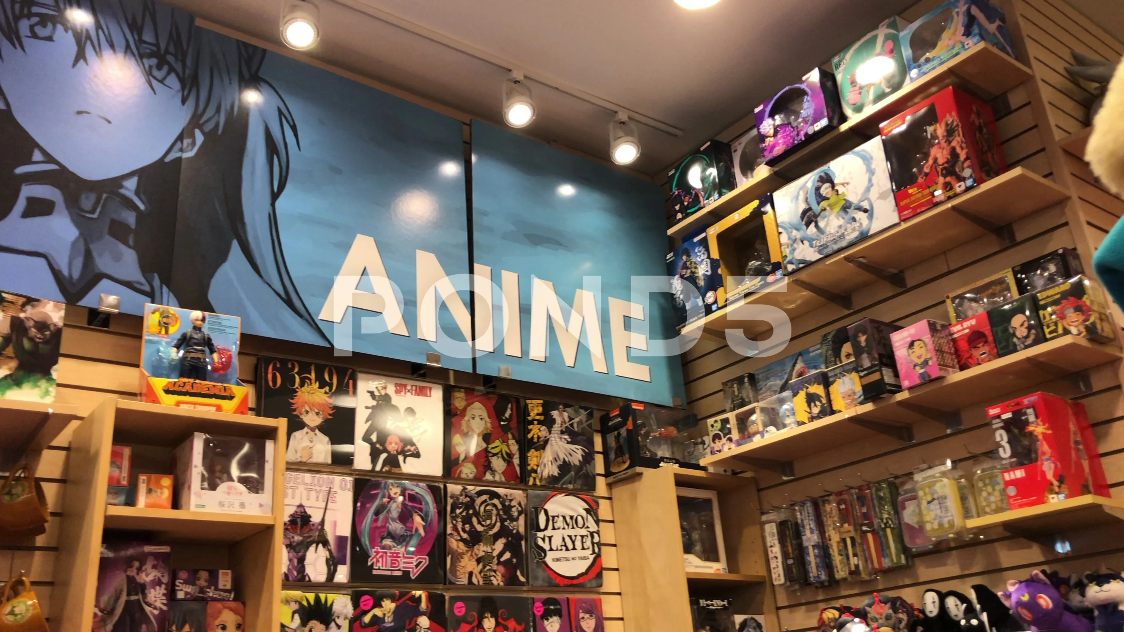 Good Anime Stores in Chicago? – AnimeChicago