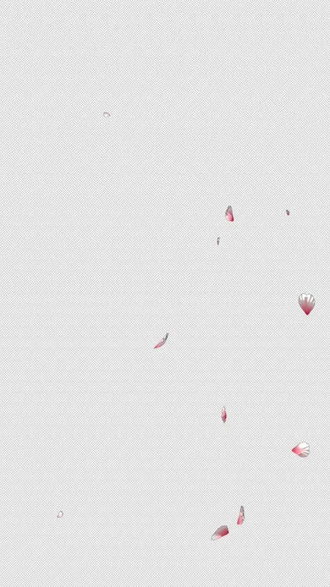 Anime Sakura Petals Overlay with Stylized Outline - Transparent Background Stock Footage 335811265