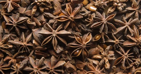 Anis close up studio shot over rotating Stock Footage 324837181