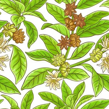 Anise branches pattern Stock Illustration