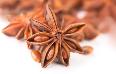 Anise isolated Stock Photos