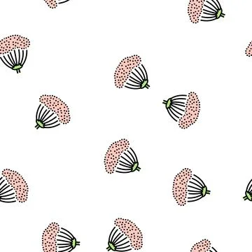 Anise plant vector seamless pattern Stock Illustration