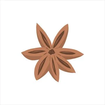 Anise spice star, handrawn vector illustration, detailed colored clipart Stock Illustration