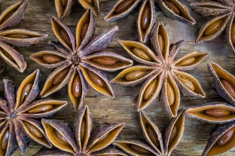 Anise star background Stock Photos