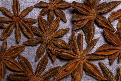 Anise star on dark background. Stock Photos