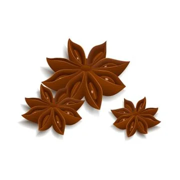 Anise star Stock Illustration