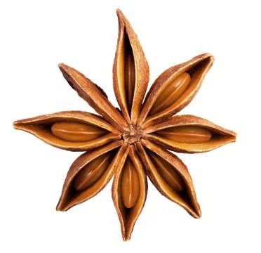 Anise star Foto stock