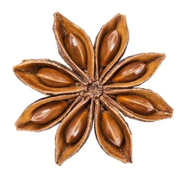 Anise star Stock Photos