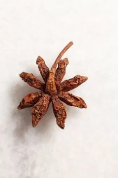 Anise star Stock Photos
