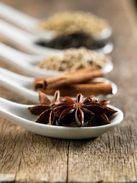 Anise star 스톡 사진