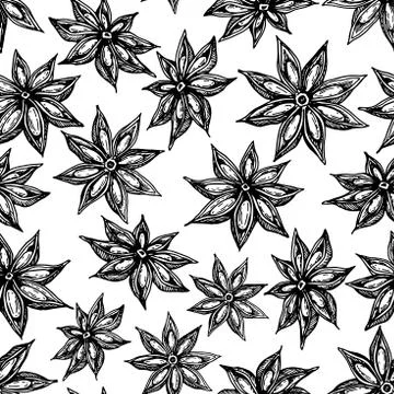 Anise Star Seamless pattern. Vector drawing. Hand drawn sketch. Stock Illustration